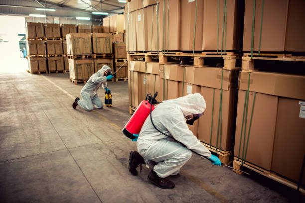 Best Rat Extermination Near Me  in Boulder Hl, IL