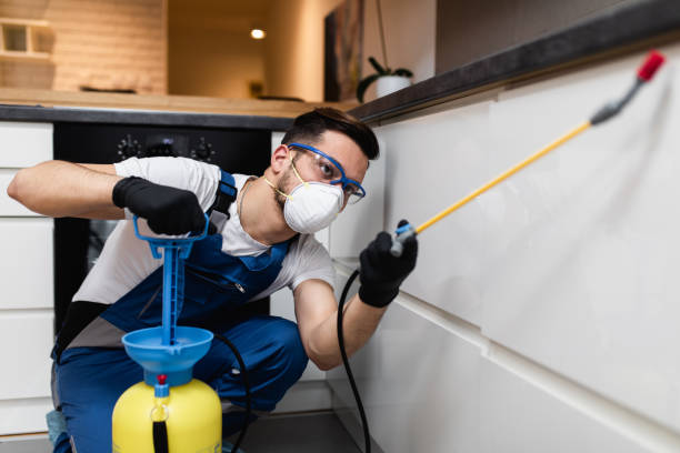 Best Local Pest Control Services  in Boulder Hl, IL