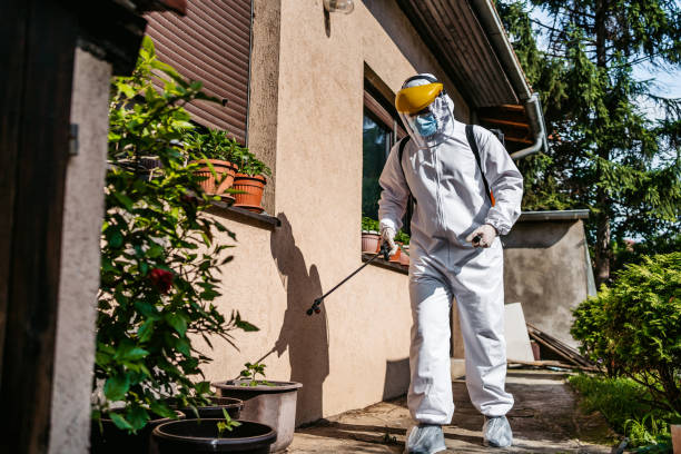 Best Pest Control Near Me  in Boulder Hl, IL