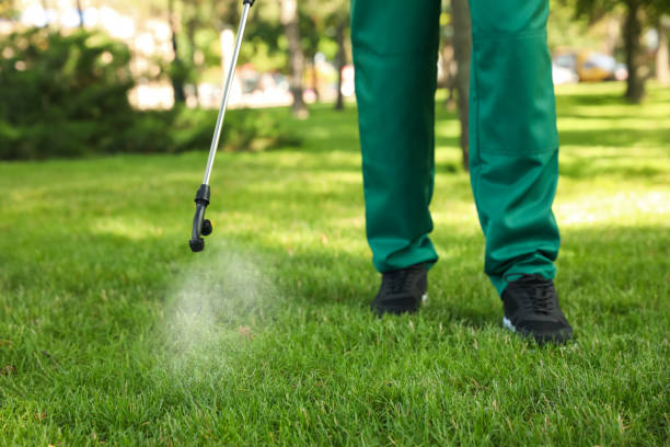 Best Affordable Pest Control Services  in Boulder Hl, IL
